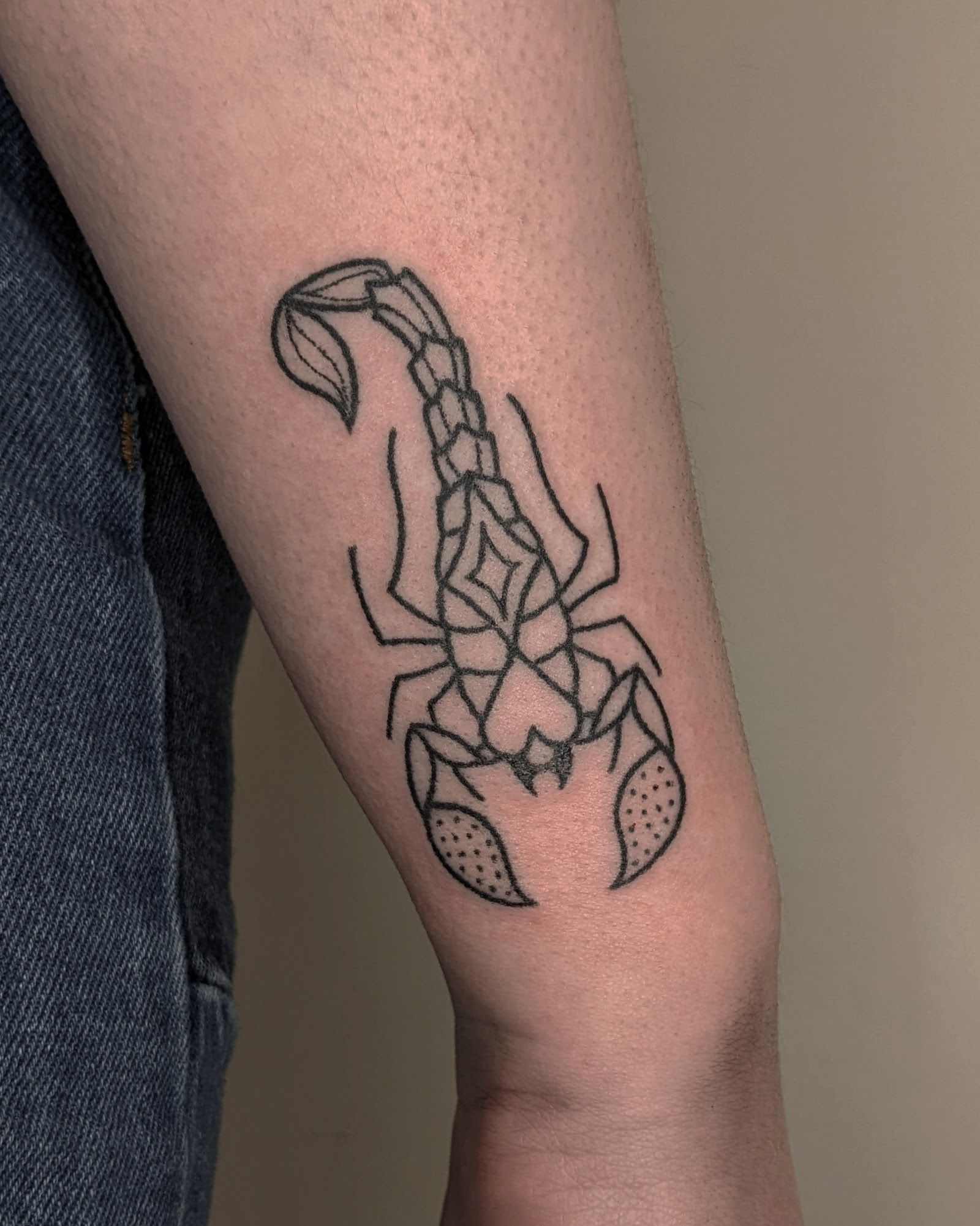 Abstract scorpion vector on VectorStock | Scorpion tattoo, Scorpio art,  Sketches