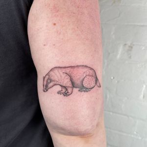Capture the spirit of the wild with this detailed badger tattoo by talented artist Chris Harvey. Perfect for nature lovers!