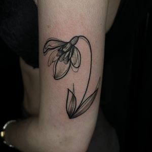 Black and grey snowdrop flower with combination of thin and bold line work