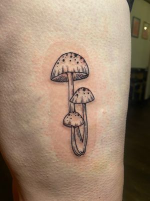 Mushies ! Already with the second skin 
