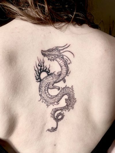 Back shaded dragon 