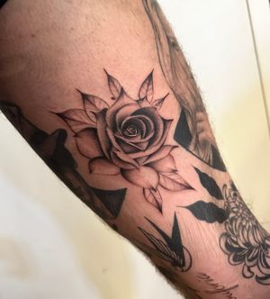 Capture the beauty of a lifelike rose with this stunning black & gray illustration tattoo by the talented artist, Miss Vampira.
