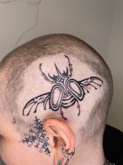 Ornamental beetle on the head 