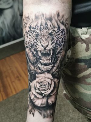 Angry tiger with rose, black and grey on forearm
