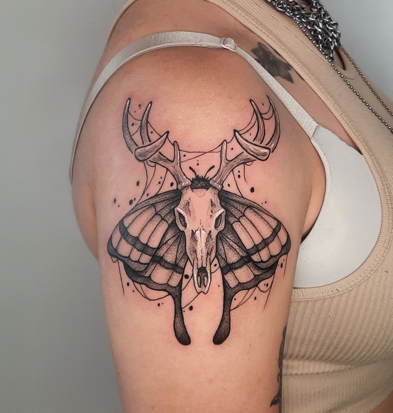 Stag Tattoo Style Stock Illustrations, Cliparts and Royalty Free Stag Tattoo  Style Vectors