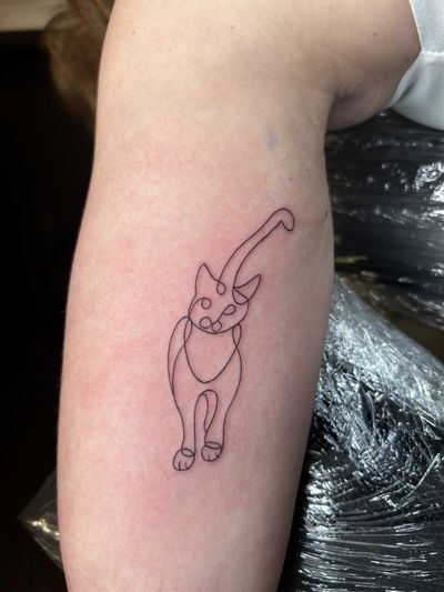 Get a sleek and stylish fine line tattoo of a cat done in a single line by the talented artist Jonathan Glick.