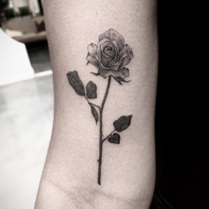 rose. Black and grey realism tattoo