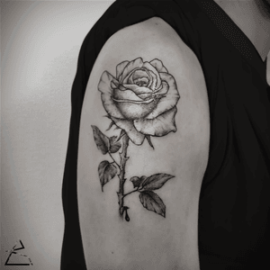 Rose. black and grey illustrative tattoo