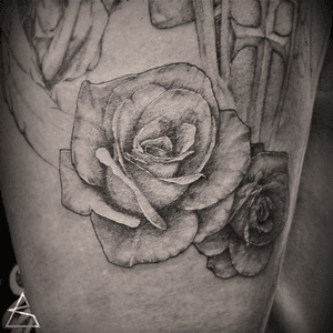 rose. Black and grey realism tattoo