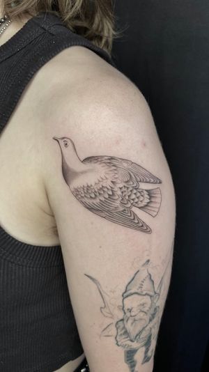 Pigeon , dot work , fine line , micro realism tattoo