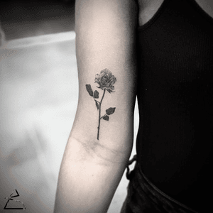 Rose. black and grey realism tattoo