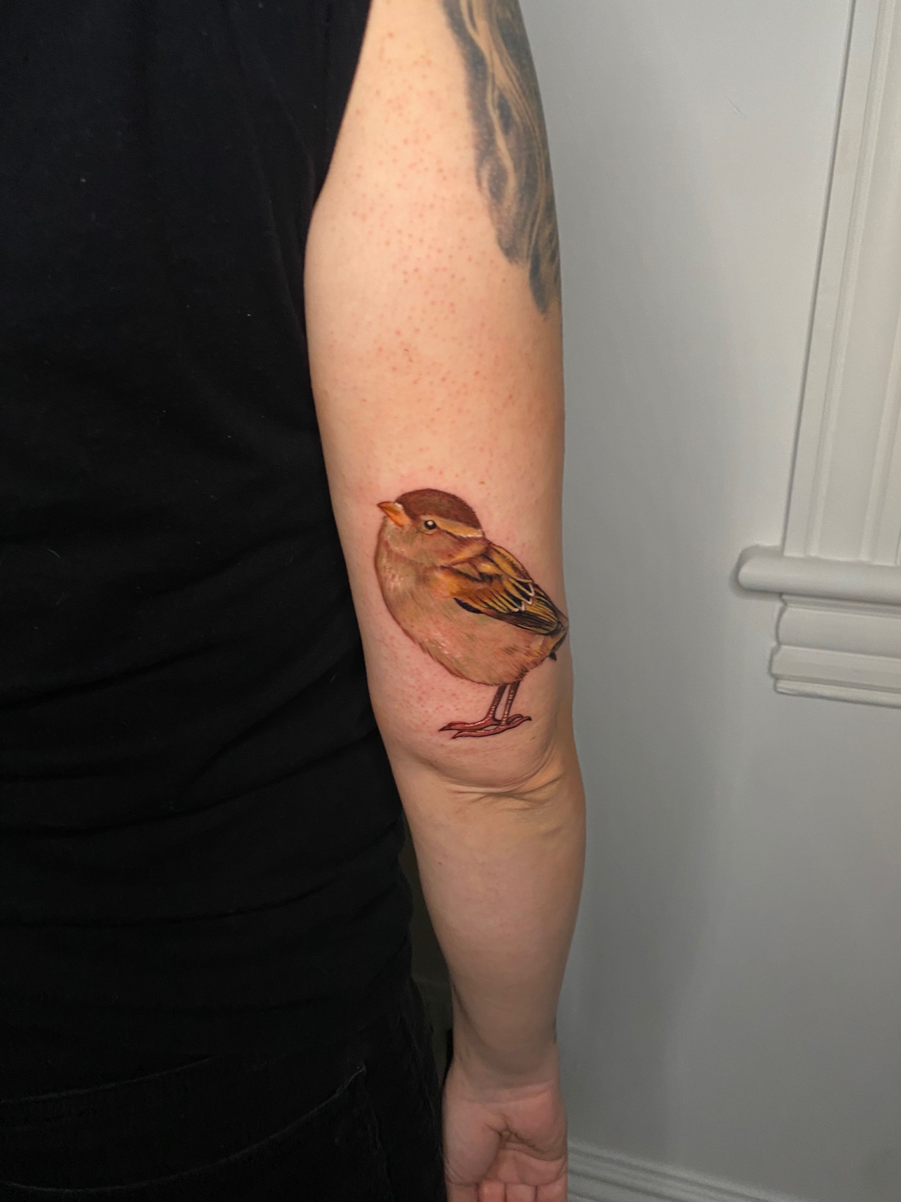 Tattoo uploaded by Ben Brodie Nice coverup Sparrow on the foot