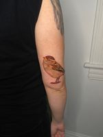 Sparrow