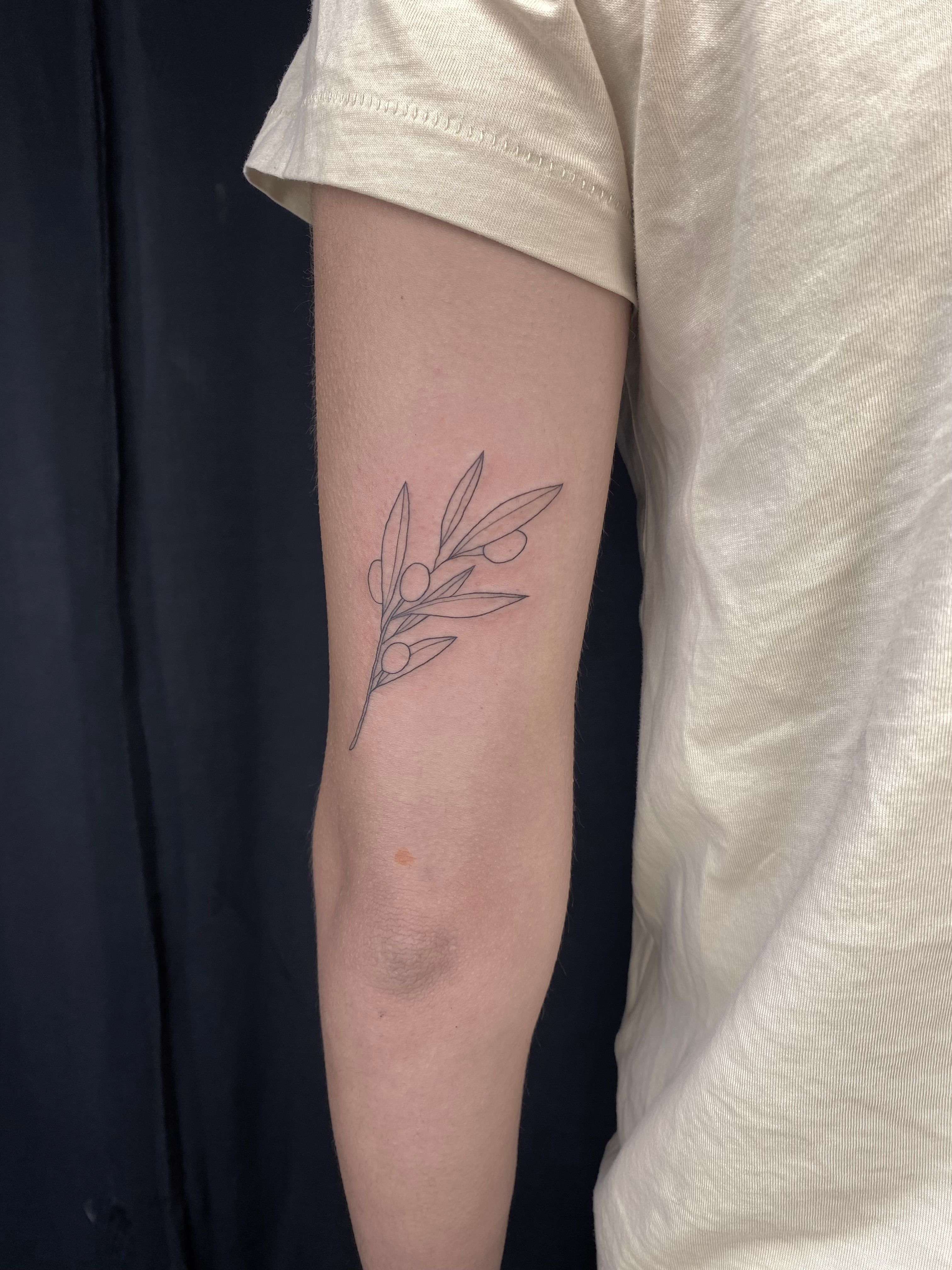 Olive Branch Tattoo - Get an InkGet an Ink