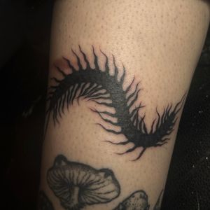 Explore the unique world of Zanzi La Vey's artistry with this stunning blackwork centipede tattoo design.
