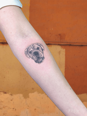 Micro-realism Fineline Dog Portrait Tattoo