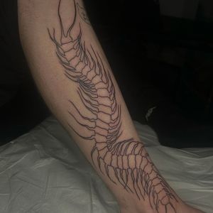 Get a stunning illustrative centipede tattoo by the talented artist Zanzi La Vey. Unique and intricate design guaranteed to make a statement.