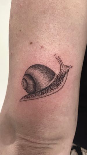 Snail, micro realism , dot work , fine line tattoo