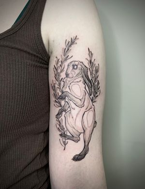 Custom Illustrative Ink brush hare with rosemary on the bicep