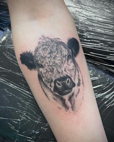 Get a unique illustrative cow tattoo by the talented artist Hannah Senoj. Perfect for animal lovers looking for a one-of-a-kind design.