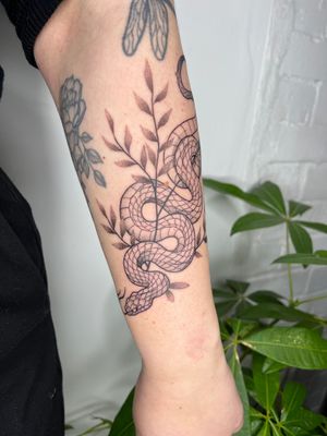 Embrace the mystical allure of a snake with this beautifully detailed illustrative tattoo designed by Michelle Harrison.