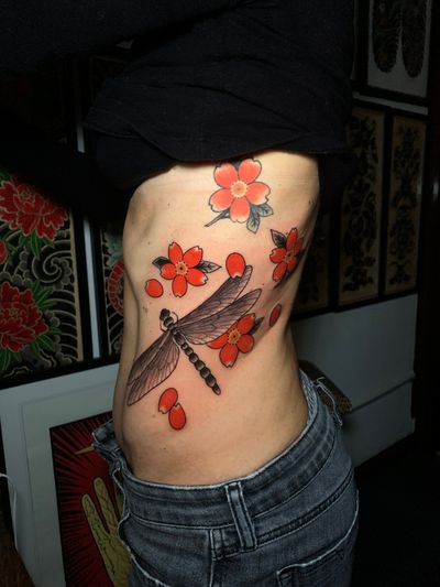 Dragon fly and cherry blossoms 