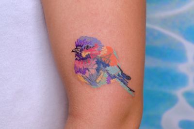 Colourful Bird ** watercolor * oilpastel drawing * coverup