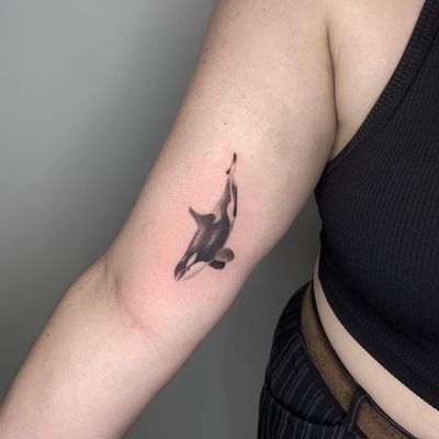 Marvel at the beauty of this black-and-gray dotwork tattoo of a majestic orca by Tas Kal.