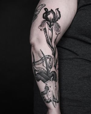Iris and ram skull with snake, all freehand.