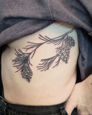 Beautiful illustrative tattoo of a branch with pine cone, expertly done by AmaaNitaa. Delicate and detailed design perfect for nature lovers.