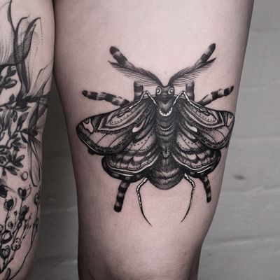Spider moth on a thigh, flash piece.