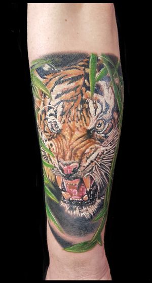 Colour realistic tiger 