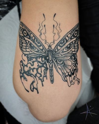 Butterfly 