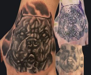 Cover up dog is n hand black and grey 