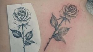 Rose tatto 
