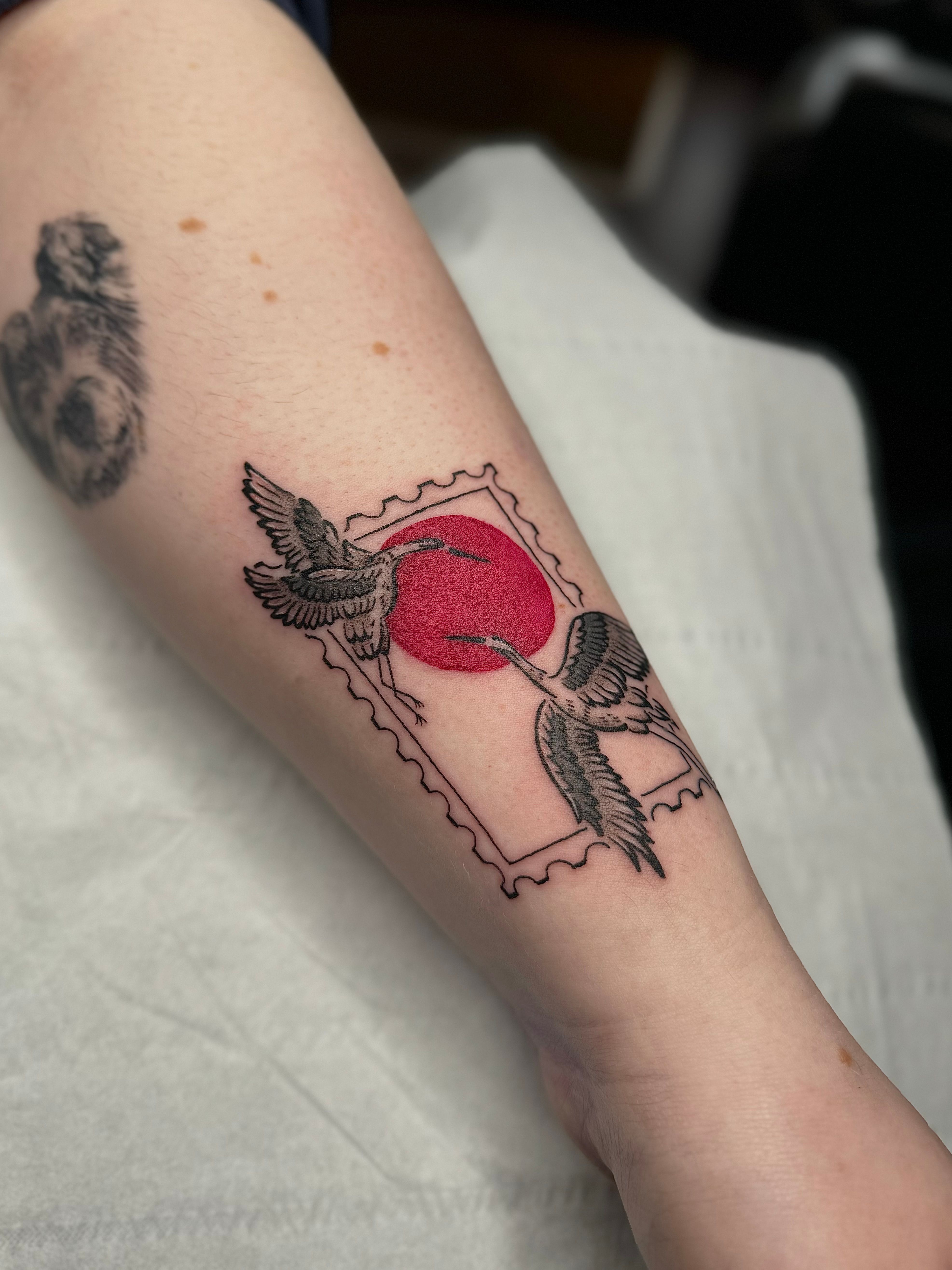 Ibis tattoos – schoolies get dirty ibis cartoons | Mozart and Coltrane