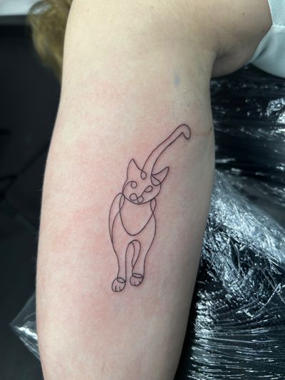 Elegantly designed single line cat tattoo by Jonathan Glick, showcasing the beauty of simplicity and precision.