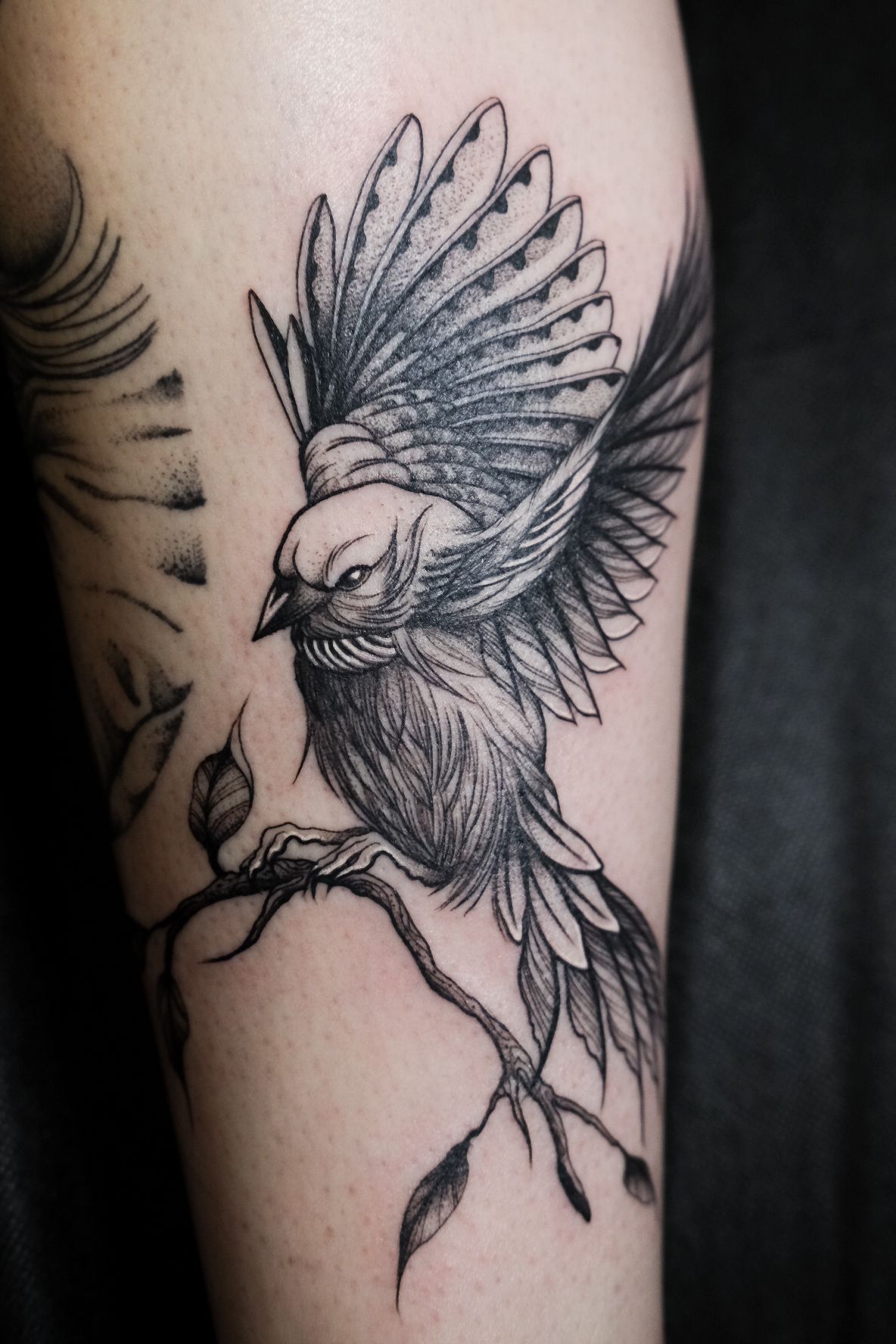 Bird - Tattoo Abyss Montreal