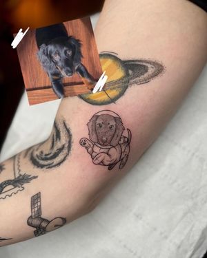 Space dog 