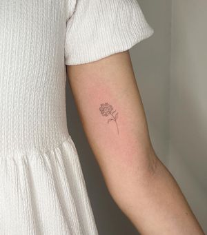 Get a stunning fine line floral tattoo with an illustrative touch by the talented artist Amelia. The intricate design of the daisy will surely make a statement.