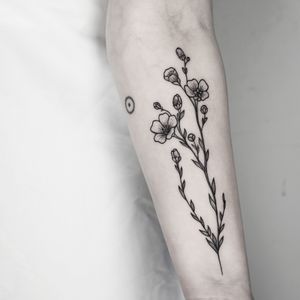 Elegant flower tattoo by Malvina Maria Wisniewska, featuring delicate fine line details and beautiful illustrative artistry.