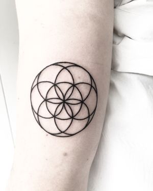Discover the intricate beauty of this fine line, geometric tattoo by Malvina Maria Wisniewska. Featuring a captivating circular pattern design.