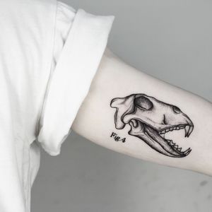 Get a one-of-a-kind skull tattoo by Malvina Maria Wisniewska, featuring intricate dotwork and illustrative style. Stand out with this bold and detailed design!