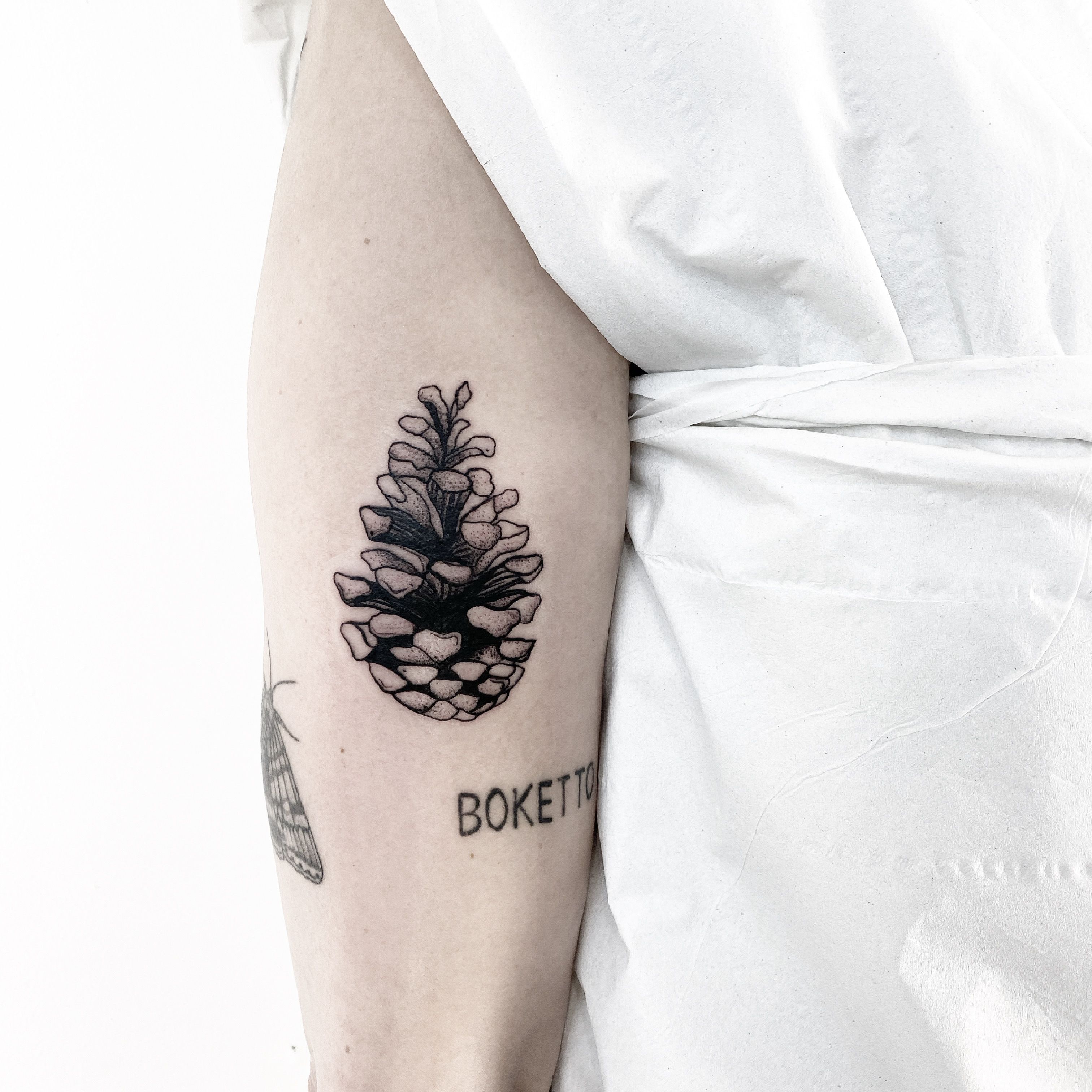 Shannon Harmon • Tattoo Artist • Tattoodo