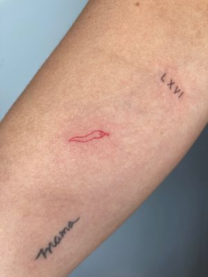 Experience the heat with this delicate fine line tattoo of a chilli and pepper in vibrant red ink by tattoo artist Gee.