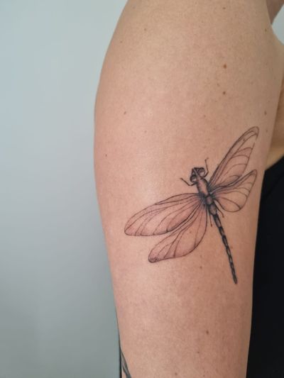 Micro realism dragonfly