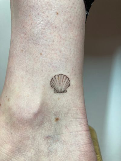 Beautiful shell design by Gee, created in a delicate illustrative style with fine lines