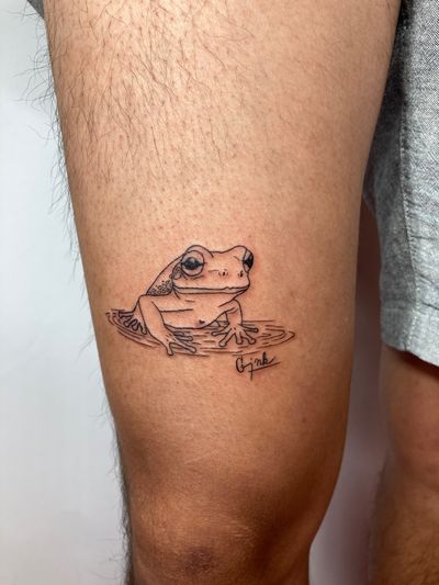 Fine line illustration Frog