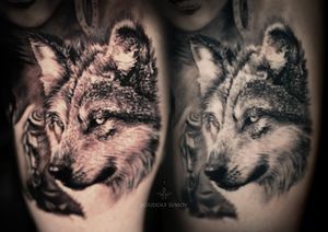 - Wolf - 
- Fresh vs Healed -
•
https://www.roudolfdimovart.com/