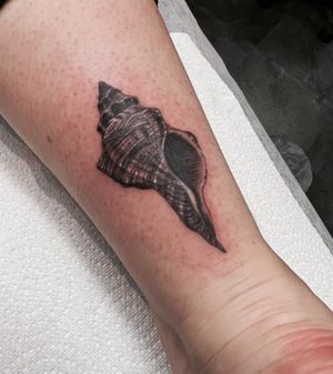 A sea shell to remind my client of home 